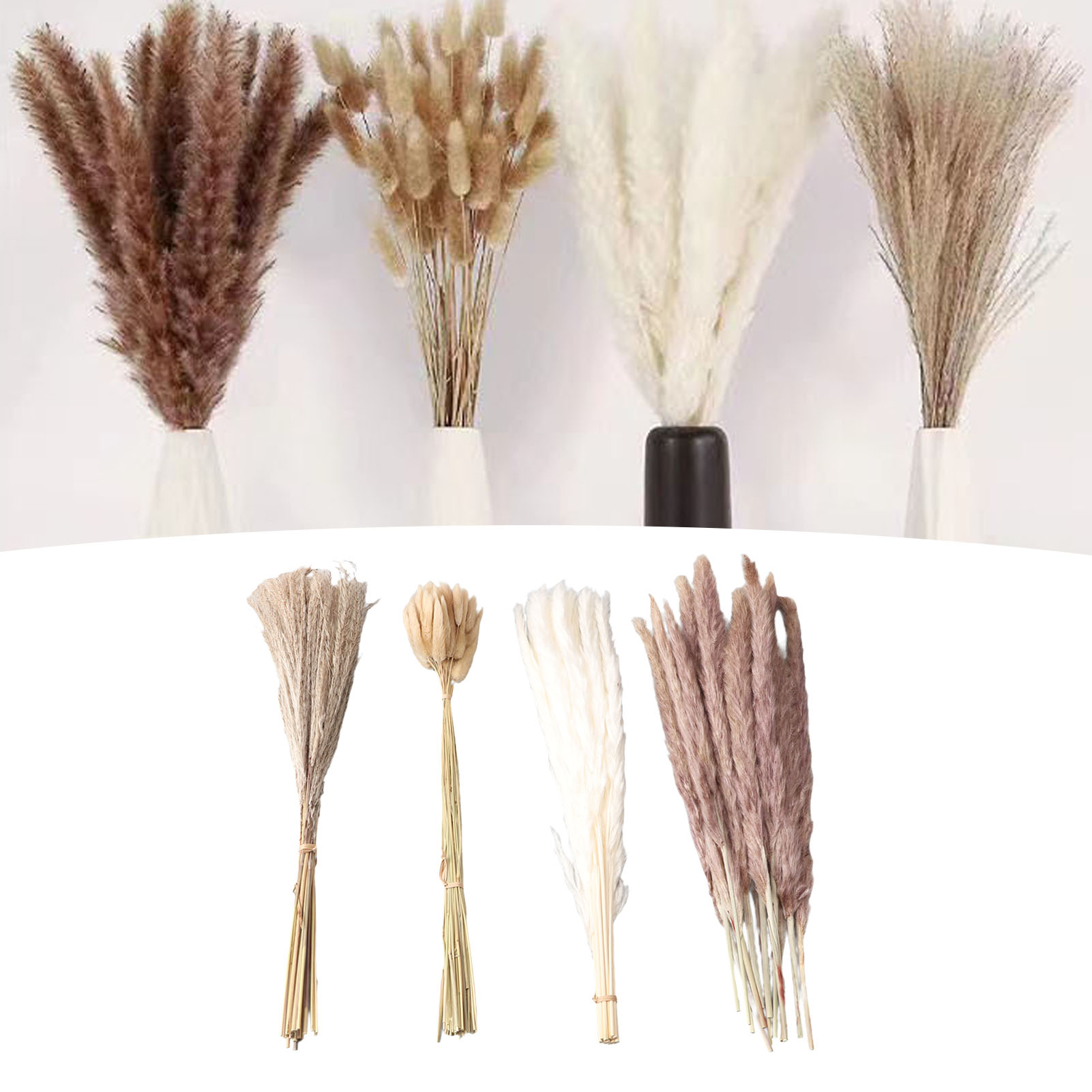 Eucalyptus Preserved - Natural Dried Pampas Grass Fluffy 15PCS