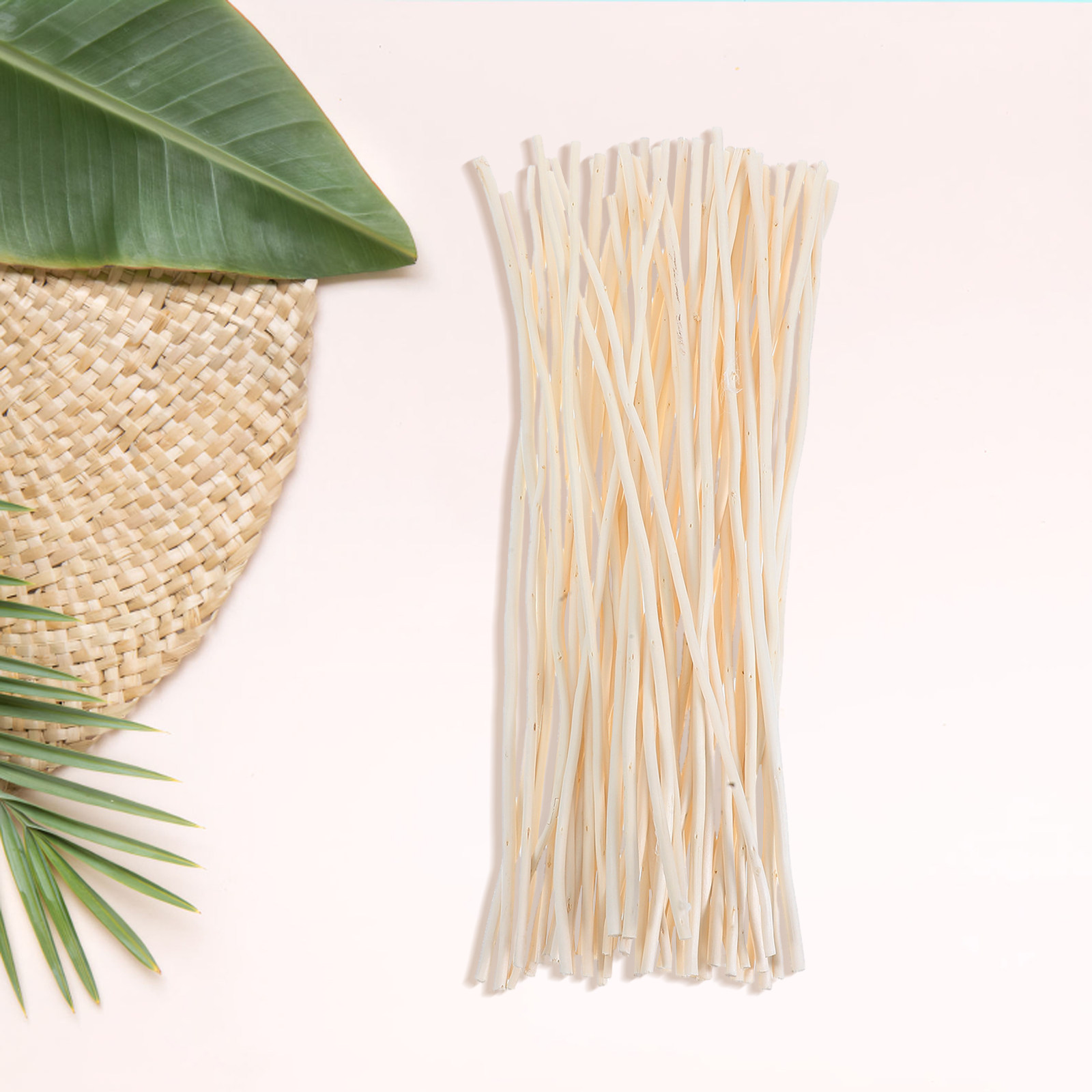 Branch Curly Willow - 50Pcs Dried Willow Branches White Curly