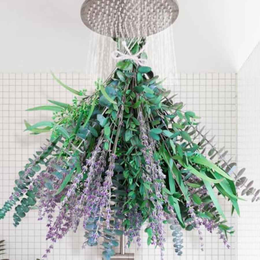 Eucalyptus Preserved - 65 Pcs Mix Dried Eucalyptus Stems