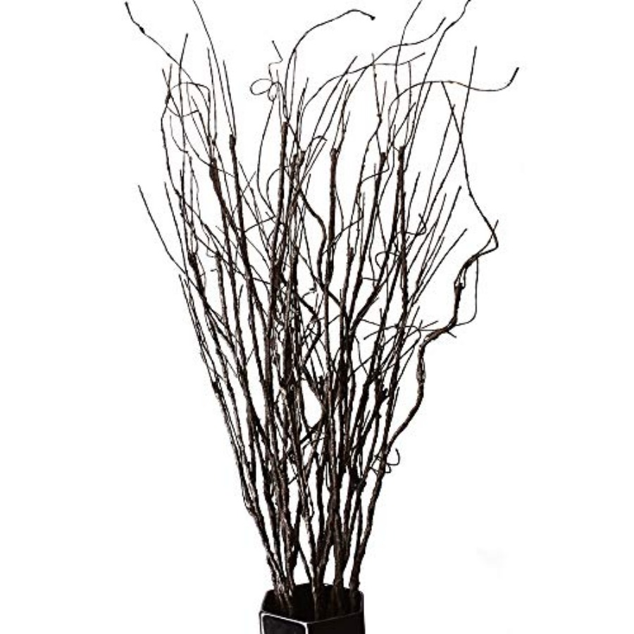 Branch Curly Willow - 10PCS Lifelike Curly Willow Branches Decorative