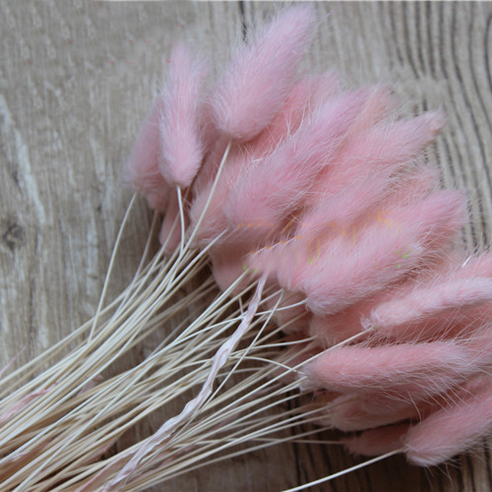 50pcs dried natural flower bou - Dried Flower Bunch avis et prix