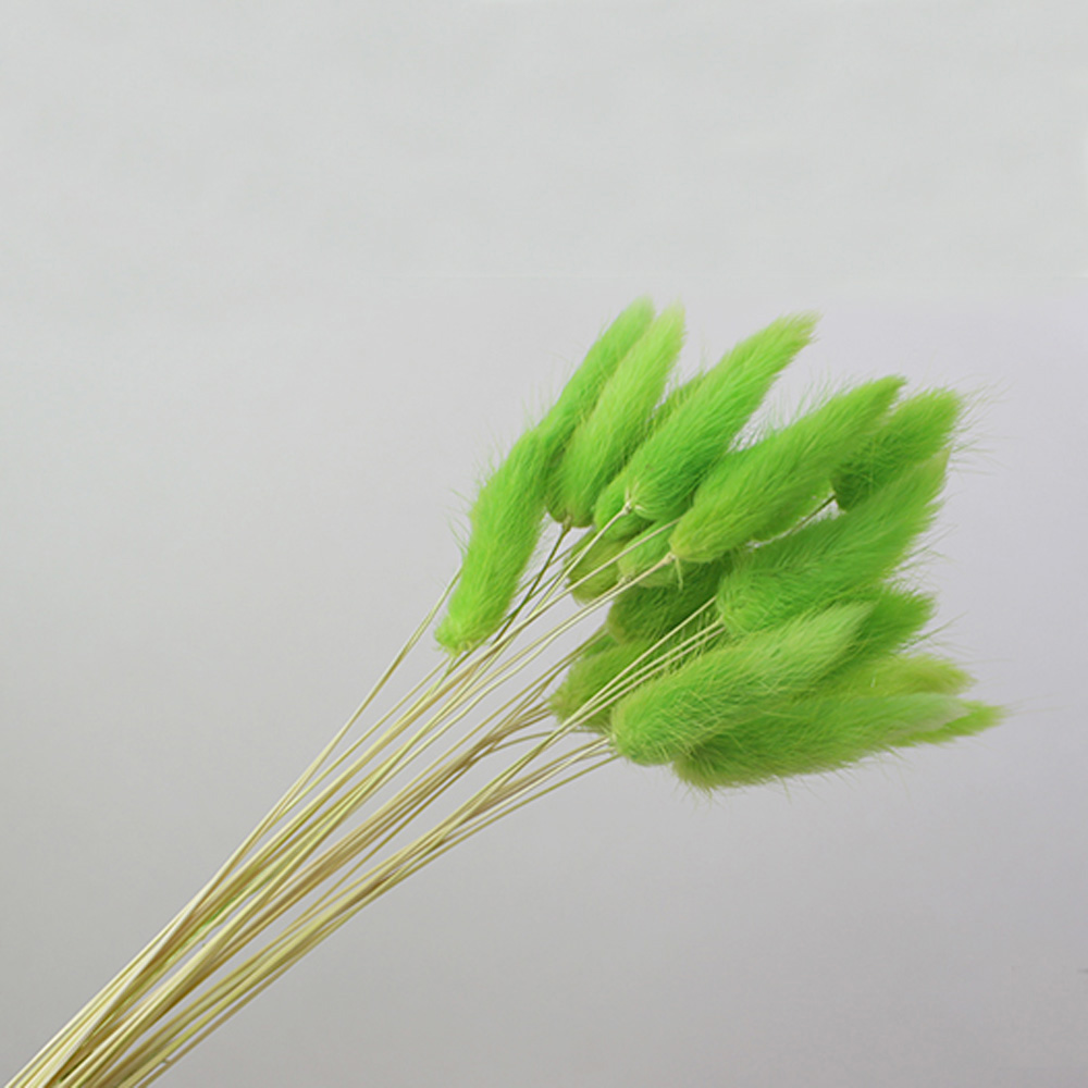 50pcs dried natural flower bou - Dried Flower Bunch avis et prix