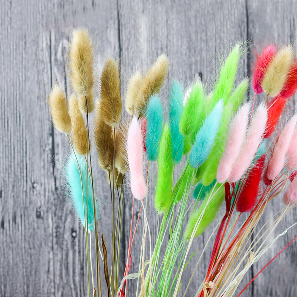 50pcs dried natural flower bou - Dried Flower Bunch avis et prix
