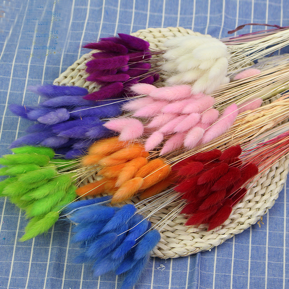 50pcs dried natural flower bou - Dried Flower Bunch avis et prix