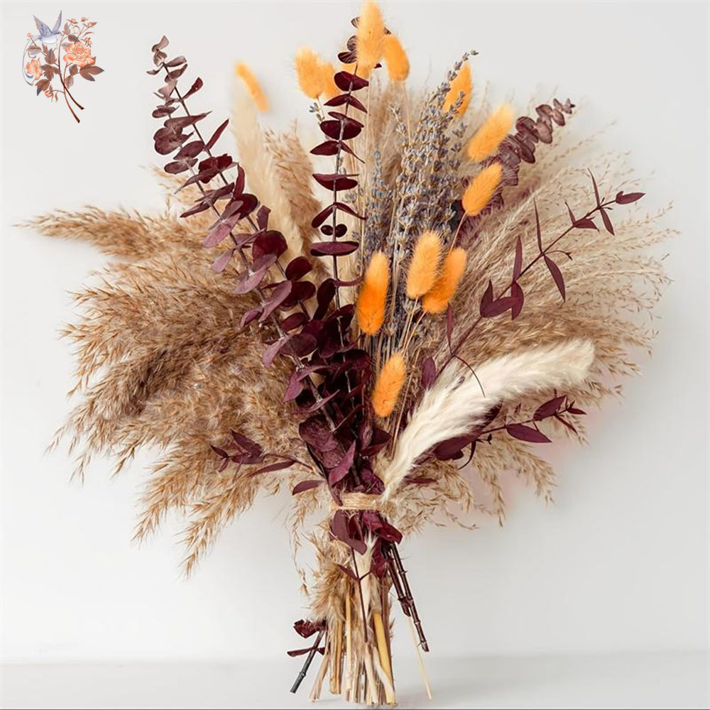 75PCS Dried Pampas Eucalyptus  - Dried Flower Bunch avis et prix