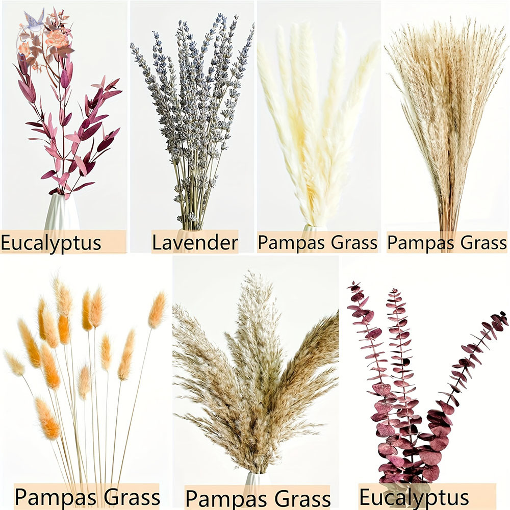 75PCS Dried Pampas Eucalyptus  - Dried Flower Bunch avis et prix