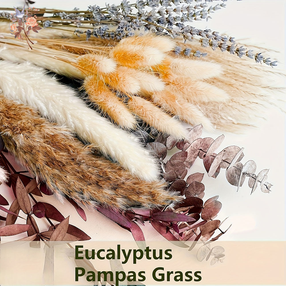 75PCS Dried Pampas Eucalyptus  - Dried Flower Bunch avis et prix