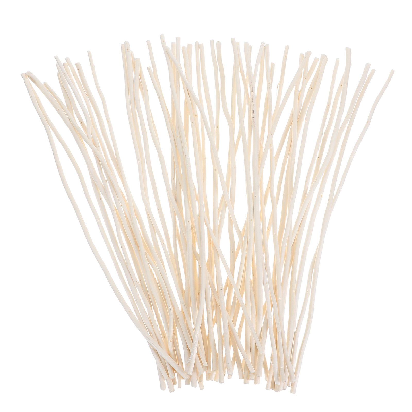 50Pcs Dried Dragon Willow Bran - Branch Curly Willow avis et prix