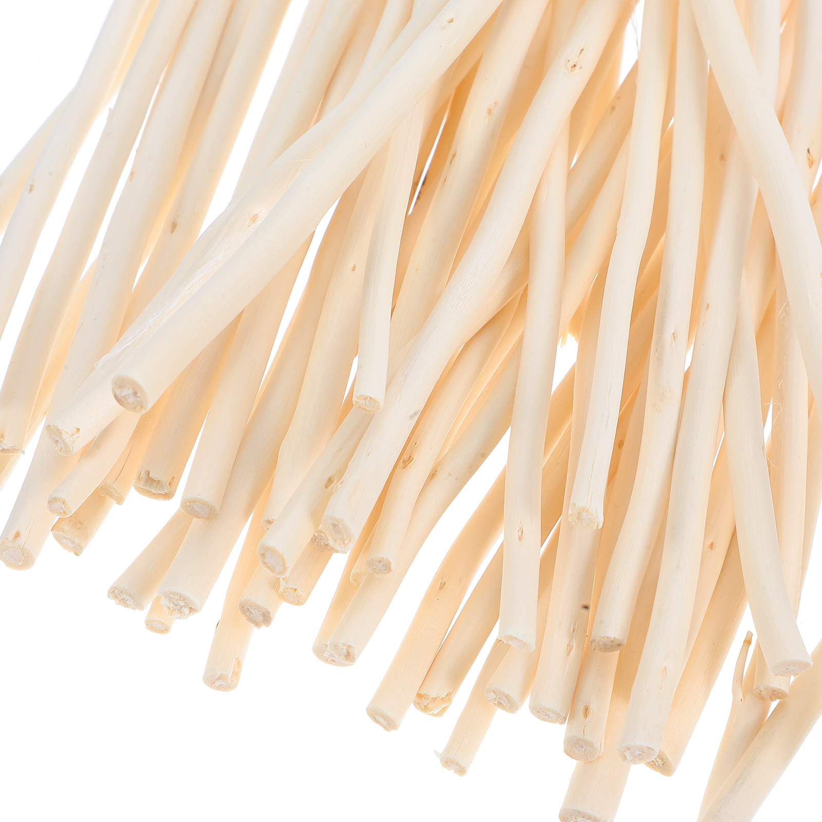 50Pcs Dried Dragon Willow Bran - Branch Curly Willow avis et prix