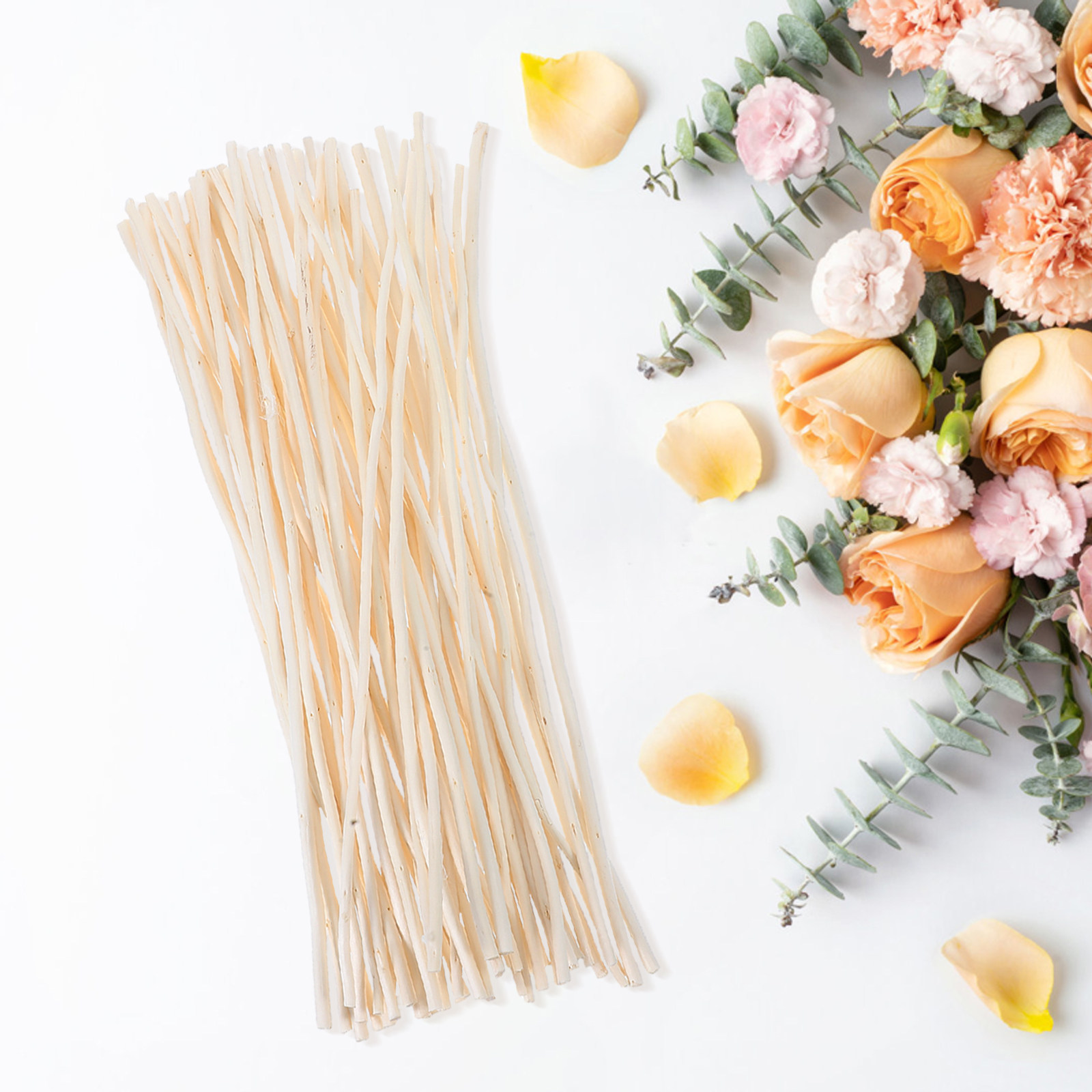 50Pcs Dried Dragon Willow Bran - Branch Curly Willow avis et prix