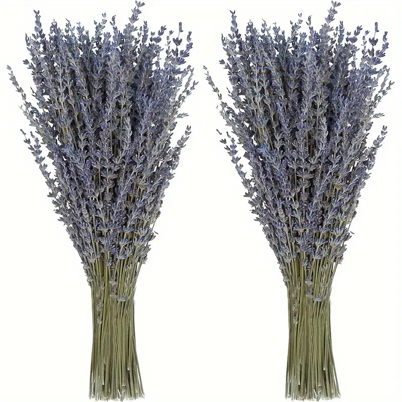 200pcs/Bunch Lavender Dried Fl - Dried Flower Bunch avis et prix
