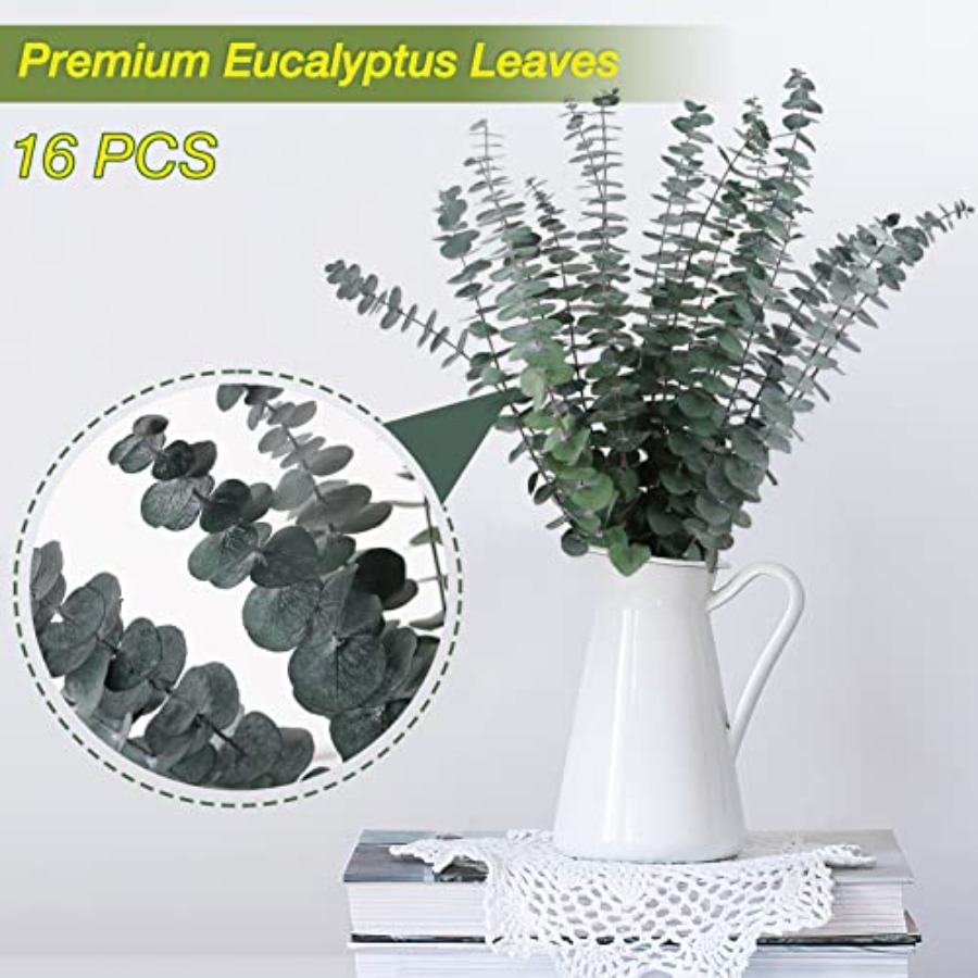 16 Pcs Preserved-Dried-Eucalyp - Dried Flower Bunch avis et prix
