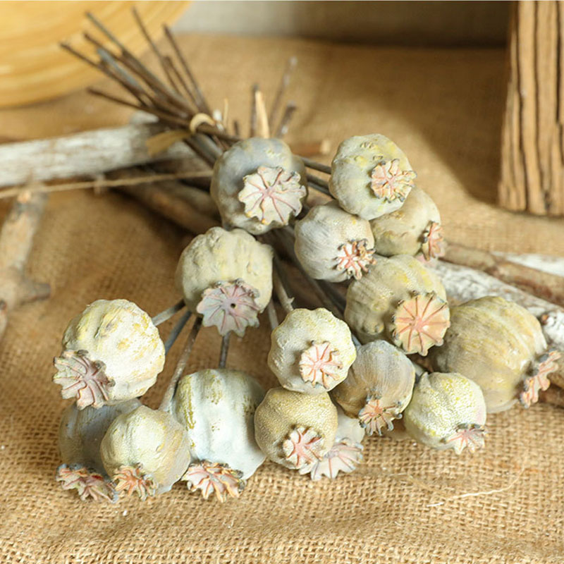 6Heads Poppies Fruit Dried Flo - Dried Flower Bunch avis et prix