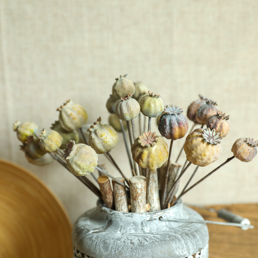 6Heads Poppies Fruit Dried Flo - Dried Flower Bunch avis et prix