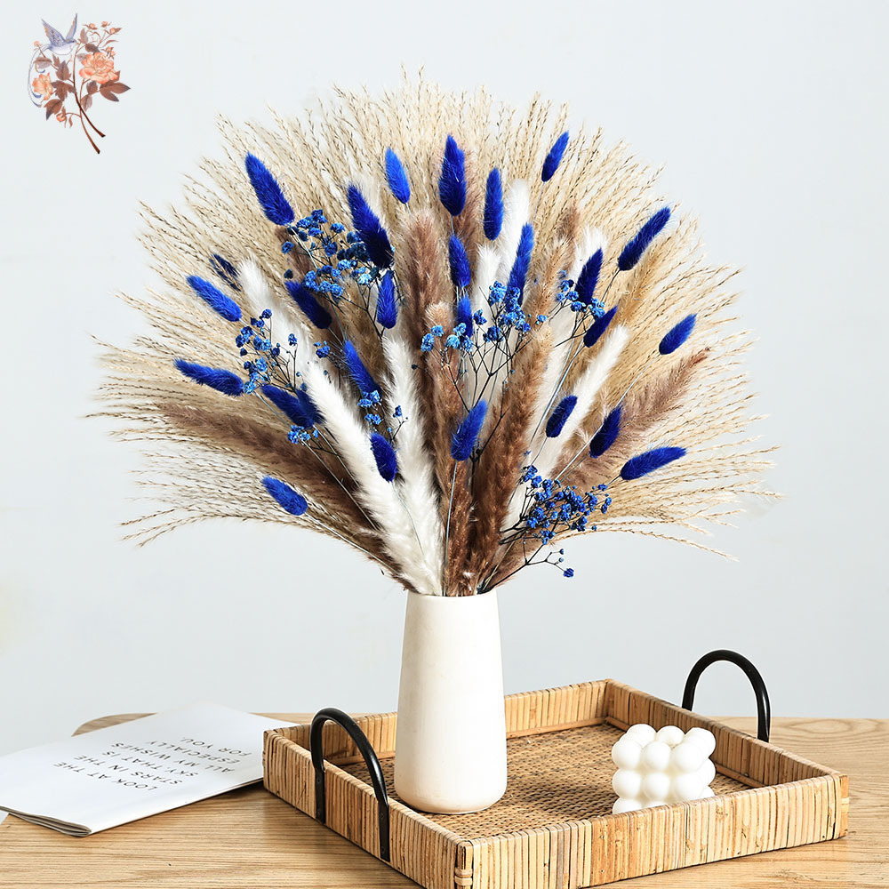 70 Stem Blue Fluffly Rabbit Ta - Dried Flower Bunch avis et prix
