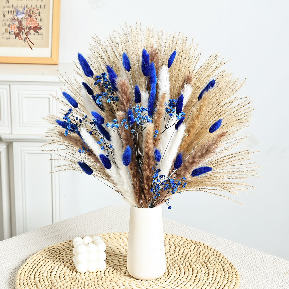 70 Stem Blue Fluffly Rabbit Ta - Dried Flower Bunch avis et prix