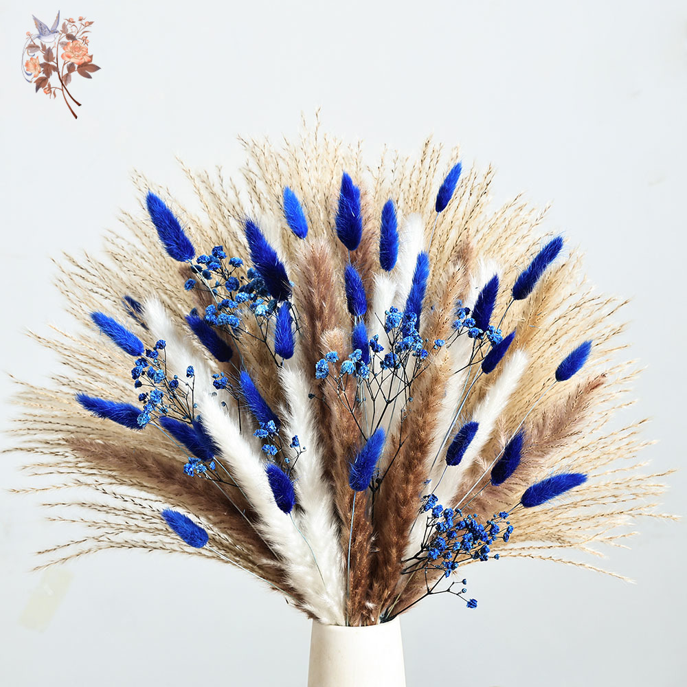 70 Stem Blue Fluffly Rabbit Ta - Dried Flower Bunch avis et prix