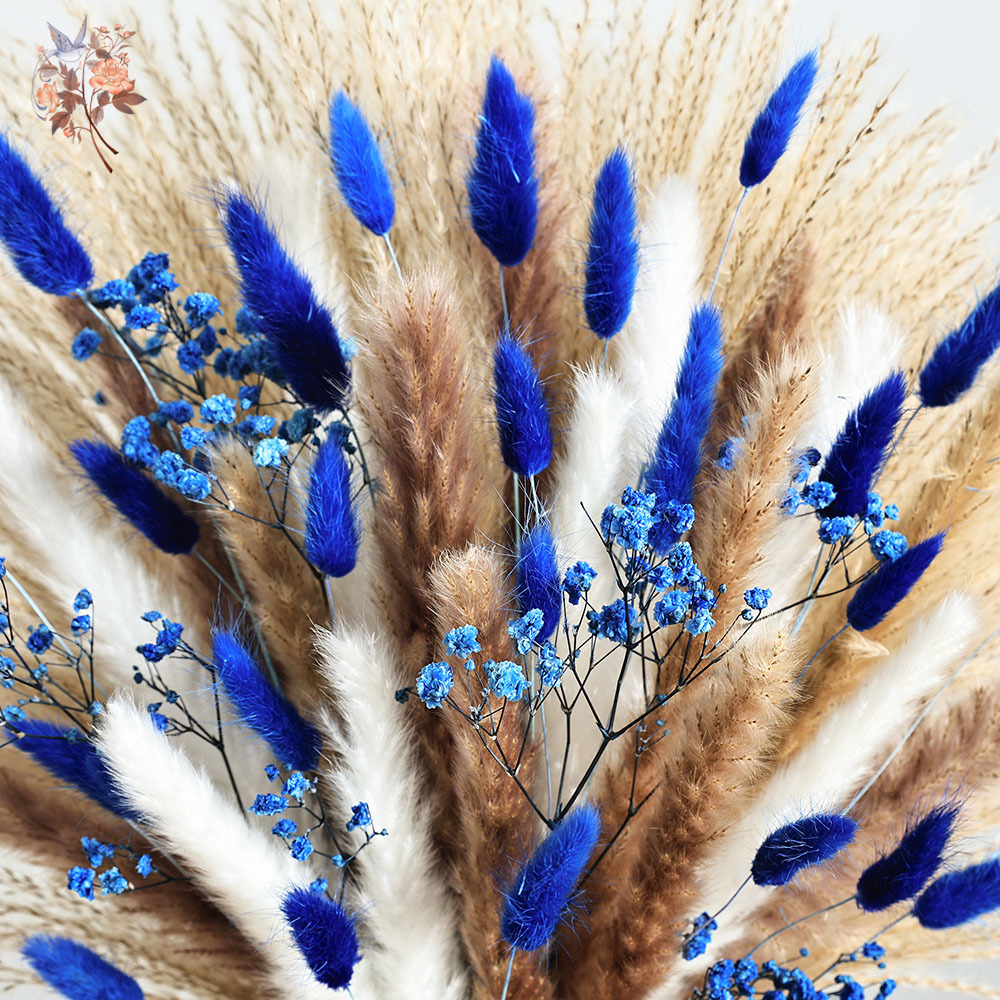 70 Stem Blue Fluffly Rabbit Ta - Dried Flower Bunch avis et prix