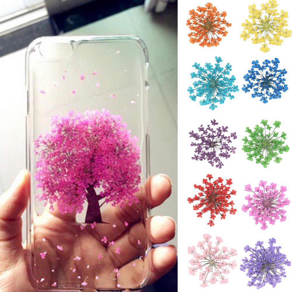 100Pcs Natural Plant Dried Flo - Dried Flower Bunch avis et prix
