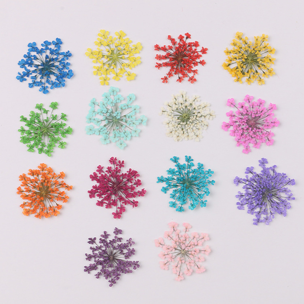 100Pcs Natural Plant Dried Flo - Dried Flower Bunch avis et prix