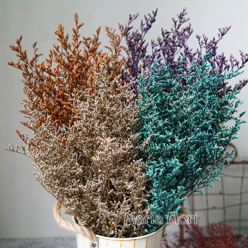 50g/Preserved Valentine's Gras - Eucalyptus Preserved avis et prix