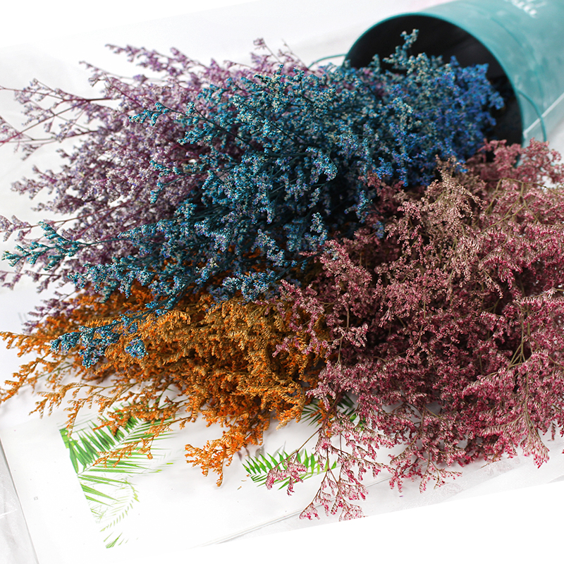 50g/Preserved Valentine's Gras - Eucalyptus Preserved avis et prix