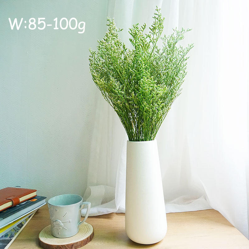 50g/Preserved Valentine's Gras - Eucalyptus Preserved avis et prix