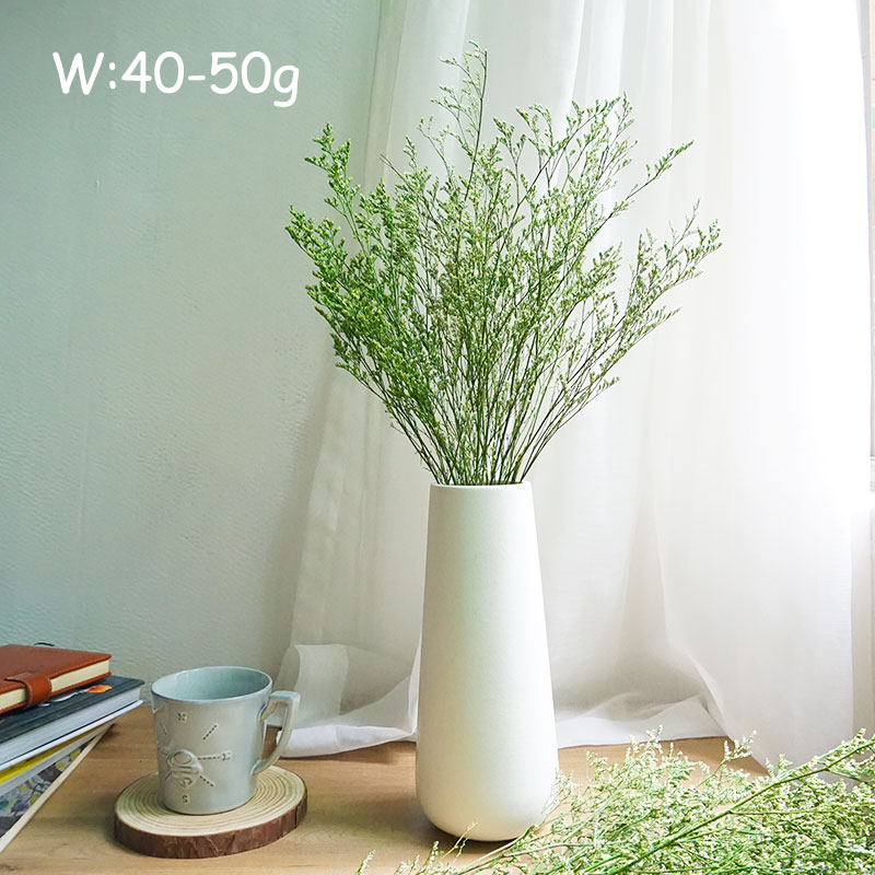 50g/Preserved Valentine's Gras - Eucalyptus Preserved avis et prix