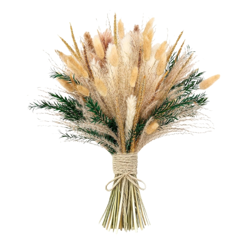 Bulk 100PCS Dried Pampas Grass - Dried Flower Bunch avis et prix
