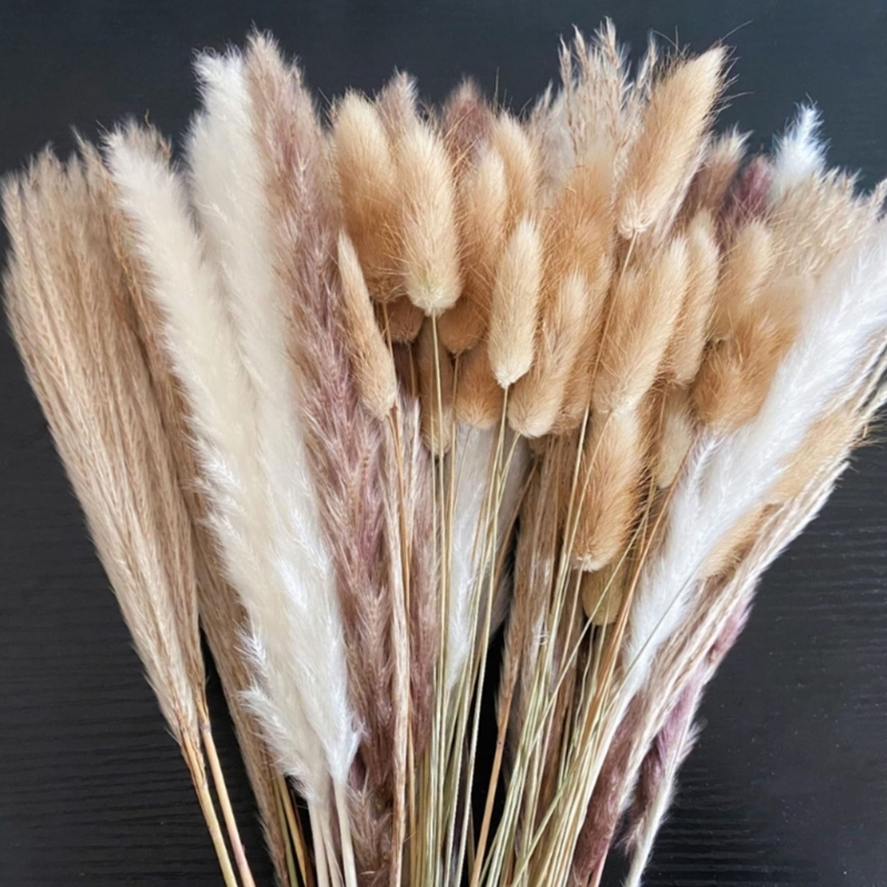 Bulk 100PCS Dried Pampas Grass - Dried Flower Bunch avis et prix