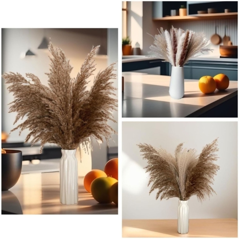 Bulk 100PCS Dried Pampas Grass - Dried Flower Bunch avis et prix