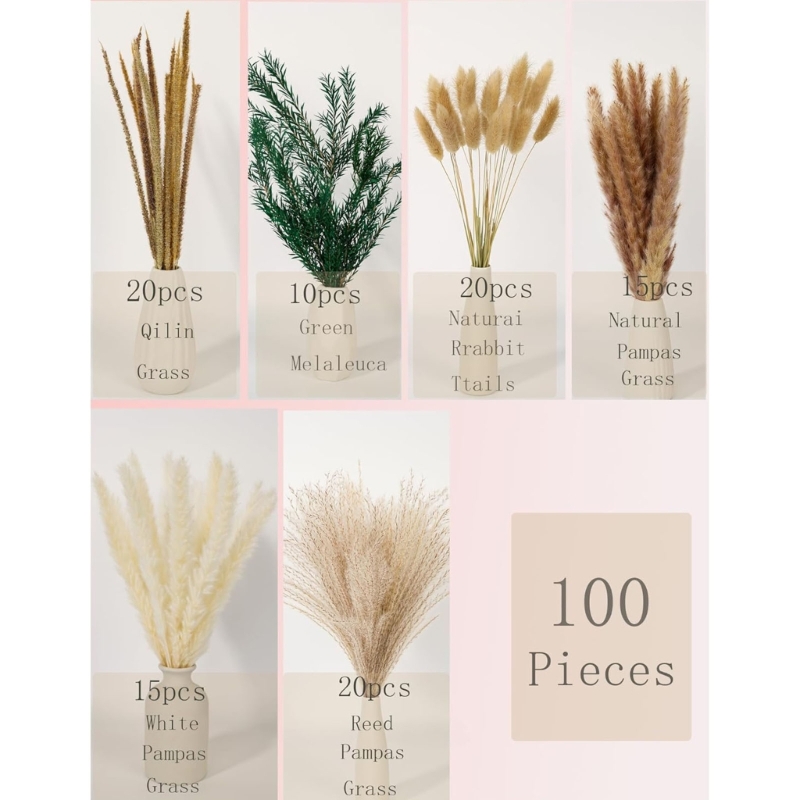 Bulk 100PCS Dried Pampas Grass - Dried Flower Bunch avis et prix