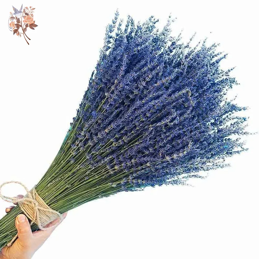 50g Natural Dried Lavender Bou - Dried Flower Bunch avis et prix