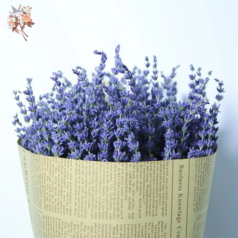 50g Natural Dried Lavender Bou - Dried Flower Bunch avis et prix