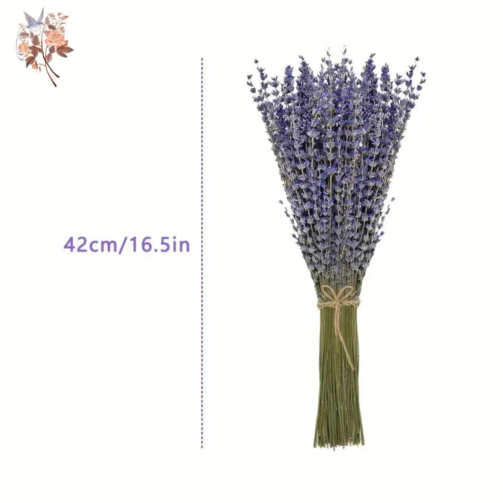 50g Natural Dried Lavender Bou - Dried Flower Bunch avis et prix