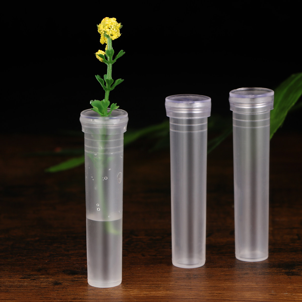 50Pcs Flower Water Storage Tub - Anda Florist Supply avis et prix