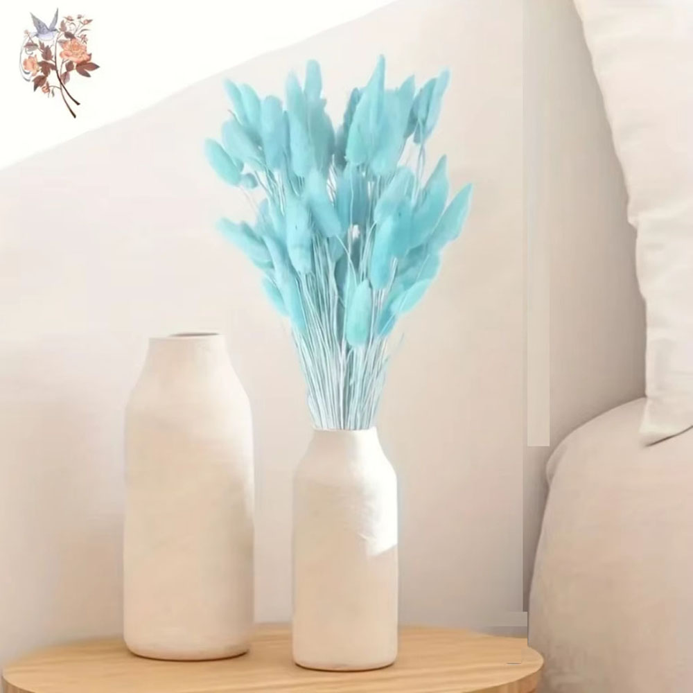 100Pcs Natural Rabbit Tails Gr - Dried Flower Bunch avis et prix