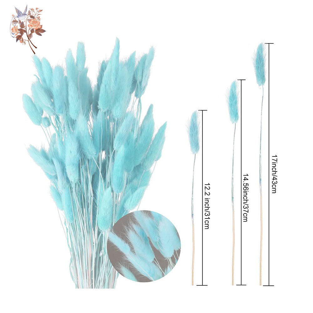 100Pcs Natural Rabbit Tails Gr - Dried Flower Bunch avis et prix