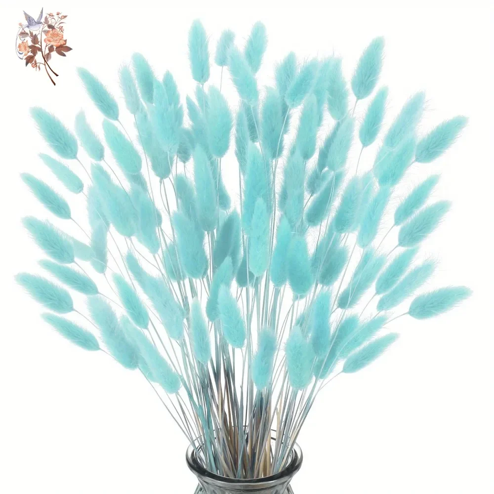 100Pcs Natural Rabbit Tails Gr - Dried Flower Bunch avis et prix