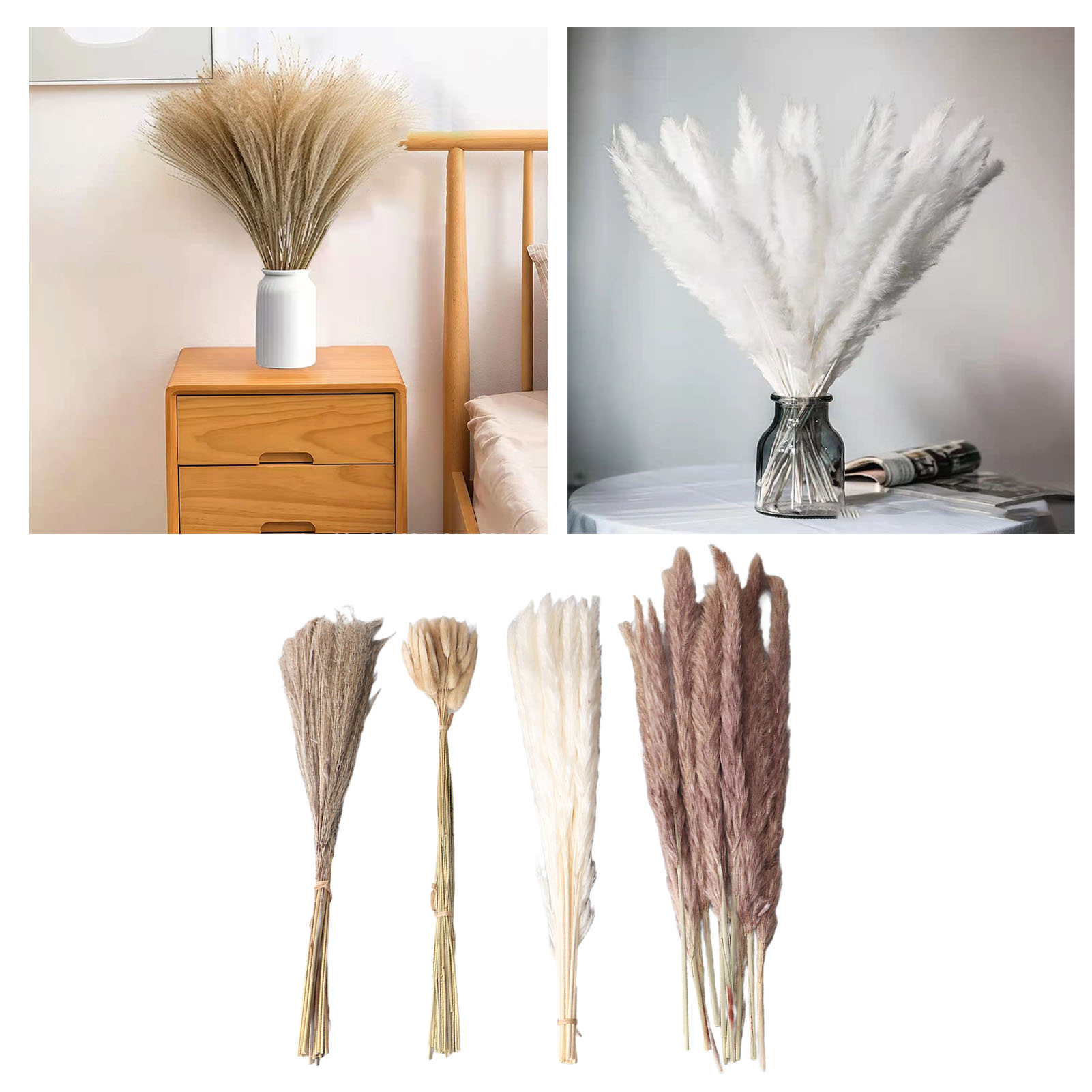 Natural Dried Pampas Grass Flu - Eucalyptus Preserved avis et prix