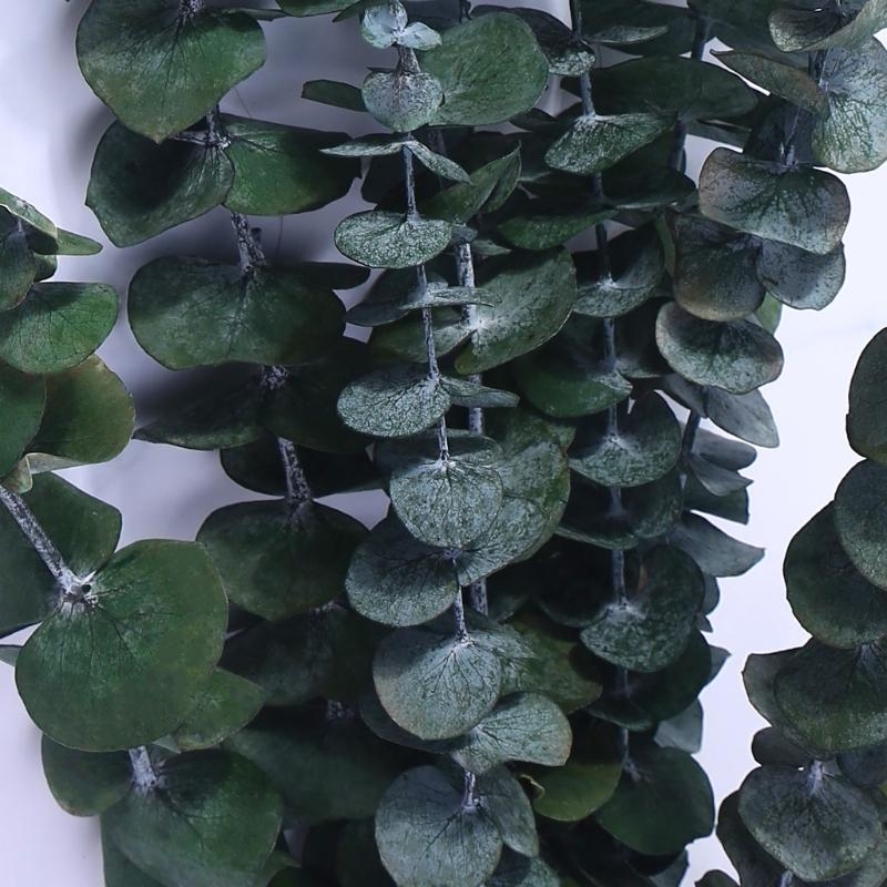 20Pcs Preserved for Fresh Euca - Eucalyptus Preserved avis et prix