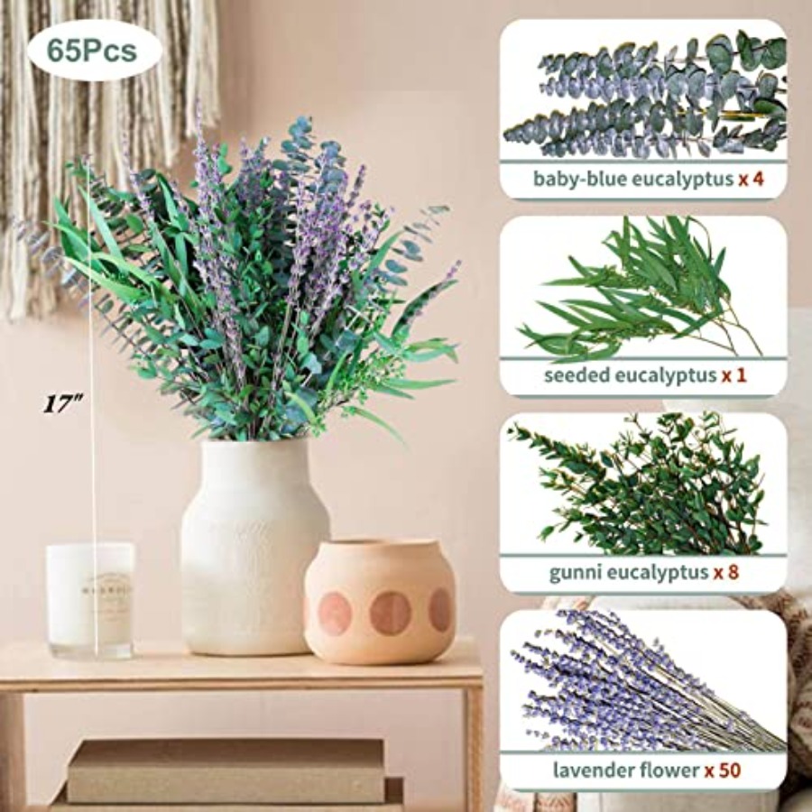 65 Pcs Mix Dried Eucalyptus St - Eucalyptus Preserved avis et prix