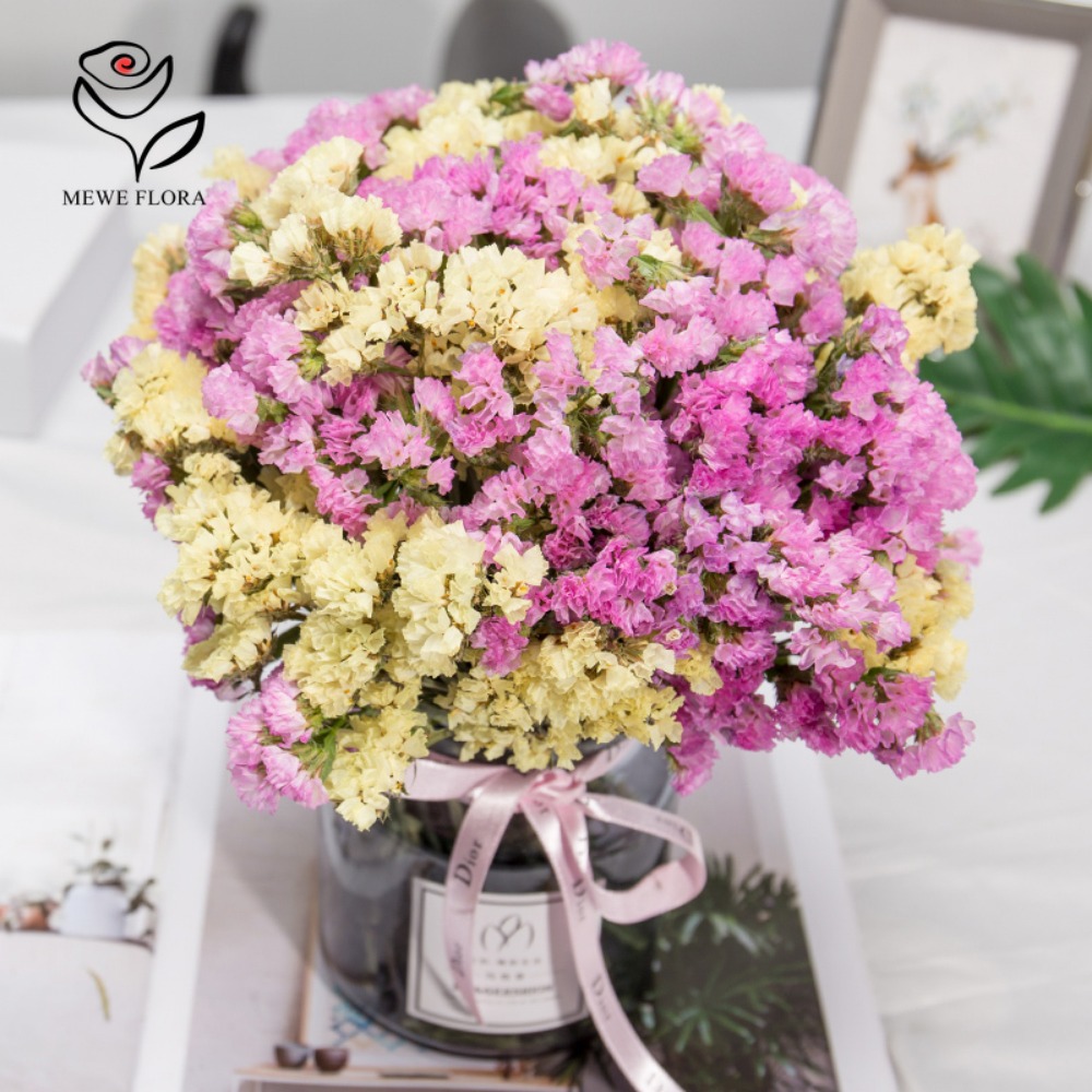 100g Dried Forget Me Not Flowe - Dried Flower Bunch avis et prix