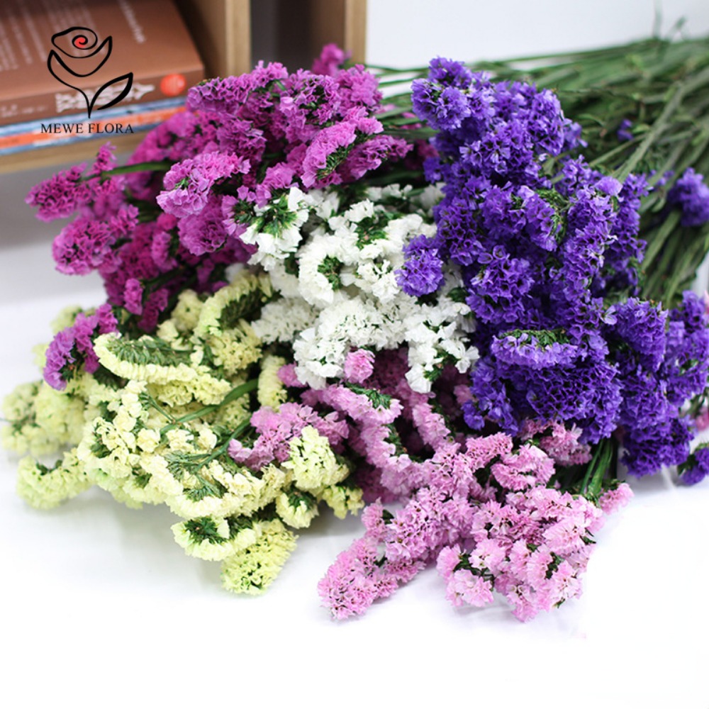 100g Dried Forget Me Not Flowe - Dried Flower Bunch avis et prix