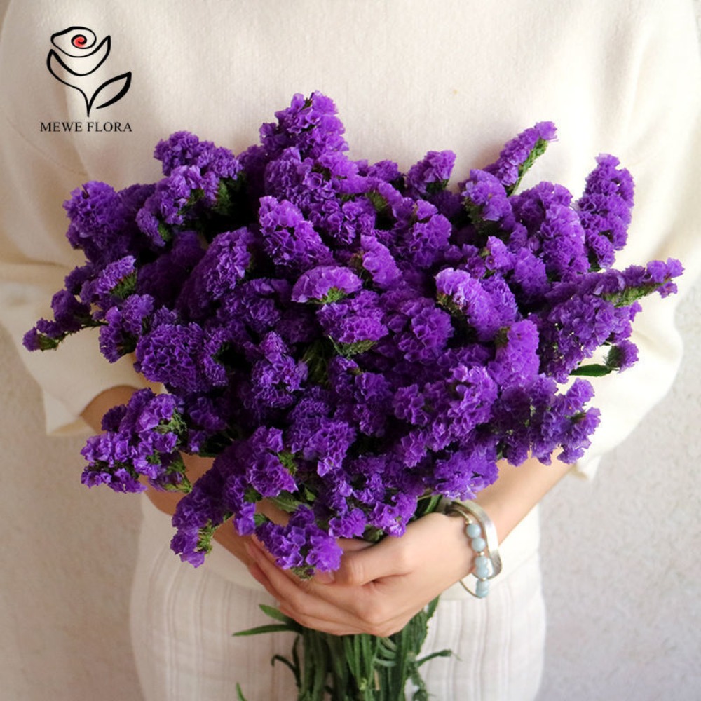 100g Dried Forget Me Not Flowe - Dried Flower Bunch avis et prix