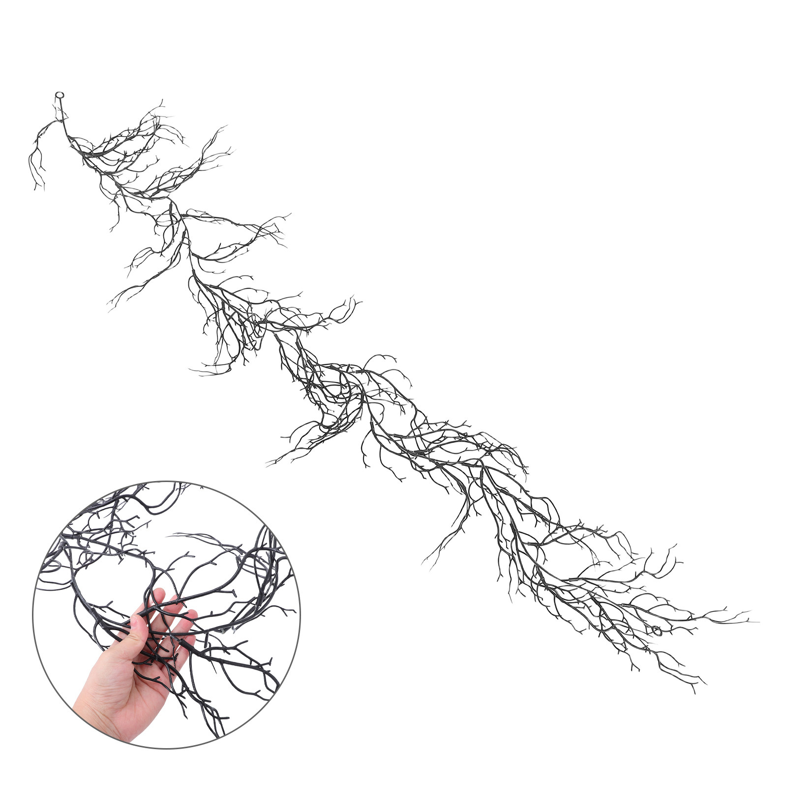 Black Curly Willow Branches Ar - Branch Curly Willow avis et prix