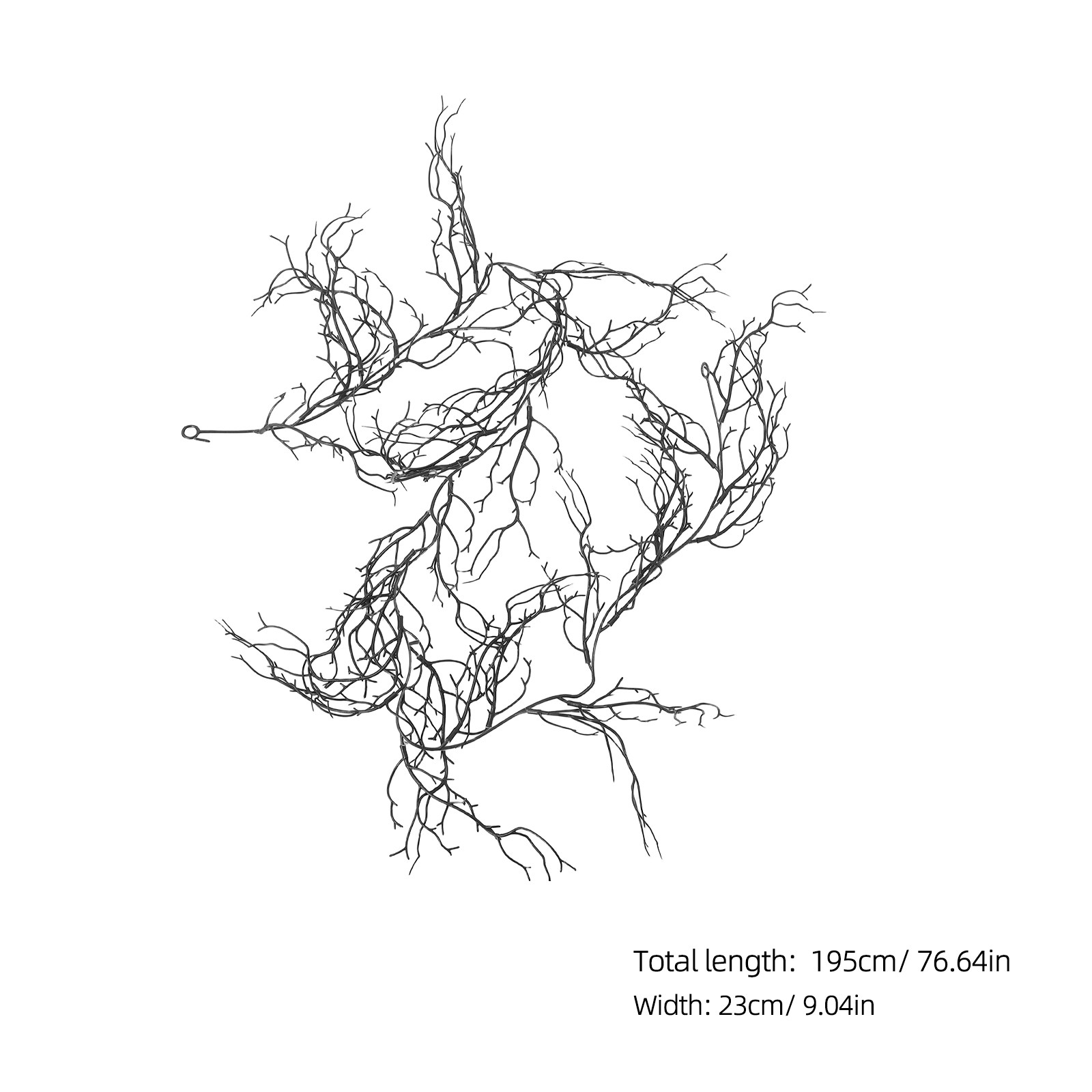 Black Curly Willow Branches Ar - Branch Curly Willow avis et prix