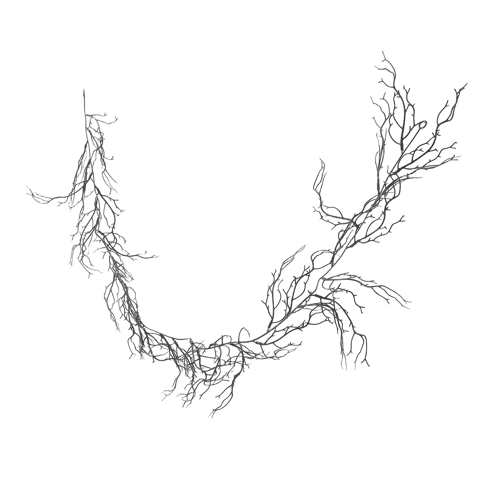 Black Curly Willow Branches Ar - Branch Curly Willow avis et prix