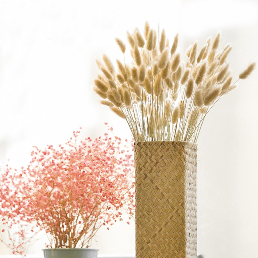 200pcs natural dried Lagurus o - Dried Flower Bunch avis et prix