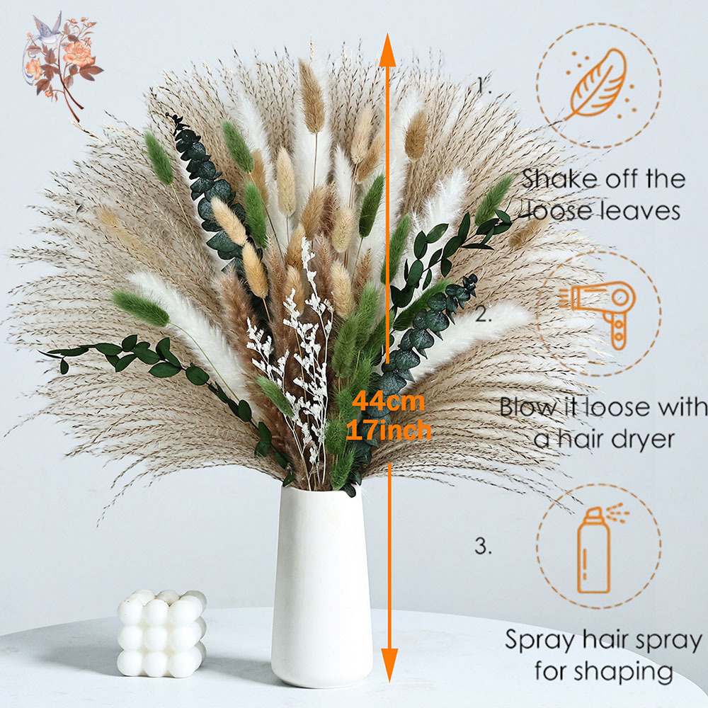 85PCS Natural Dried Flowers Pa - Eucalyptus Preserved avis et prix